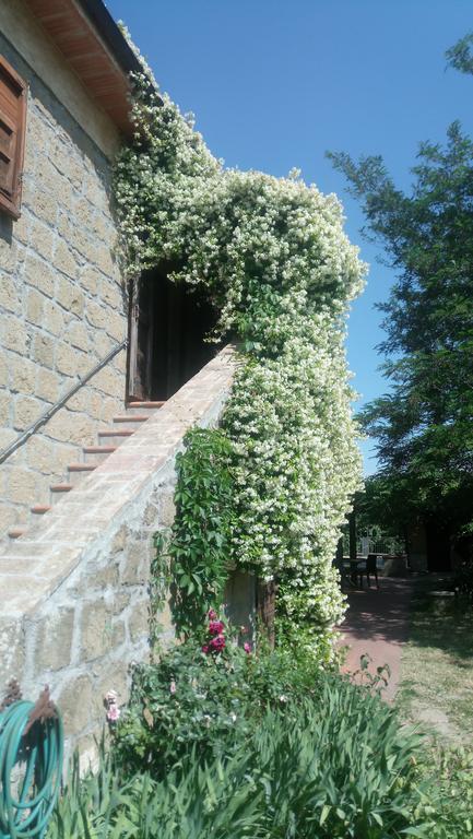 Agriturismo Solidor Pitigliano Exterior photo