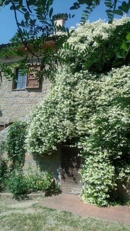 Agriturismo Solidor Pitigliano Exterior photo